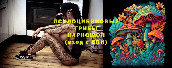 спайс Ельня